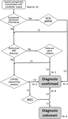 Clinical and genetic characterization of a Taiwanese cohort with spastic paraparesis combined with cerebellar involvement